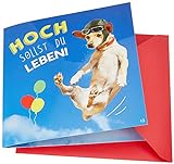 Depesche 3868.013 Glückwunsch-Karte zum Geburtstag (neutral), ansprechende Geburtstagskarte mit Musik und passendem Spruch, mit Innentext und Umschlag, 17 x 16,5 cm